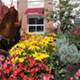 Design decisions: planting and maintaining a facility garden Design decisions: planting and maintaining a facility garden